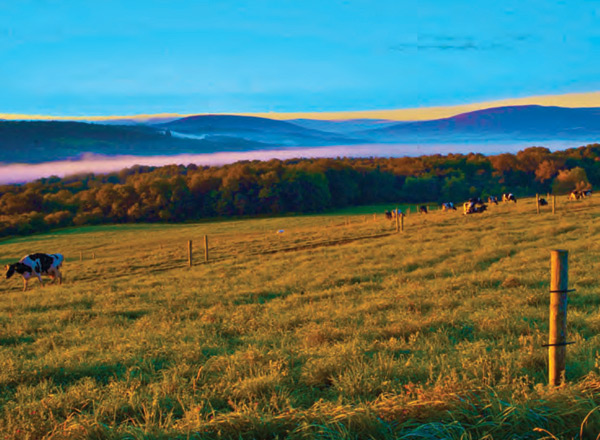 Onondaga County
