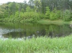 Schenectady County Forest Preserve