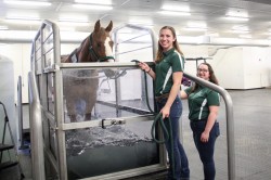 SUNY Morrisville Equine Rehabilitation Center (ERC)