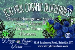 Dizzy Lizzie's Farm LLC