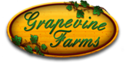 Grapevine Farms
